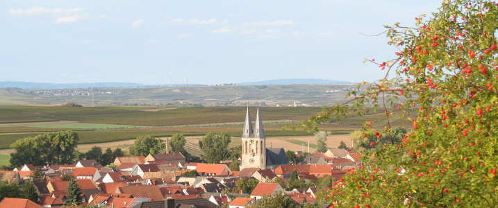 Ortsansicht Flonheim